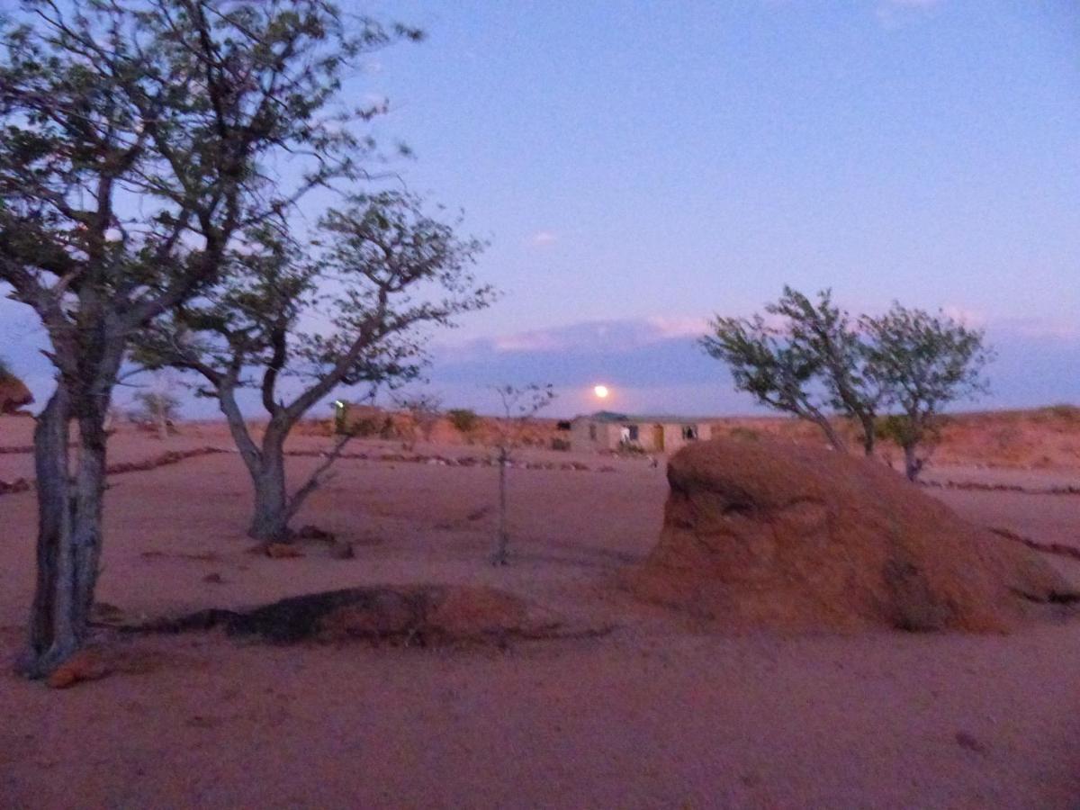 Ozohere Campsite And Himba Village Uis Экстерьер фото